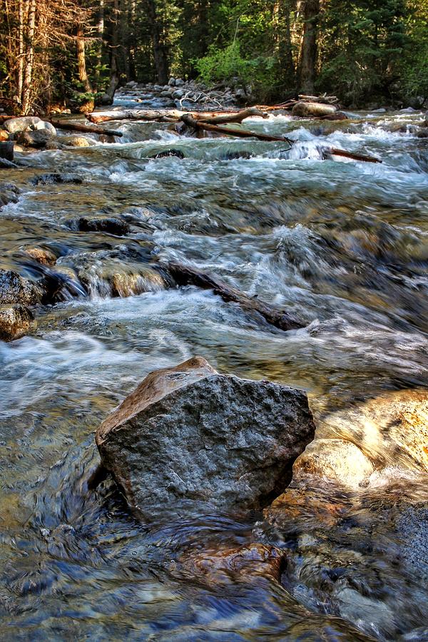A Rock in the Flow Photograph by Buck Buchanan