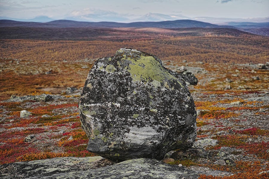 A Rock in the Highland Photograph by Pekka Sammallahti