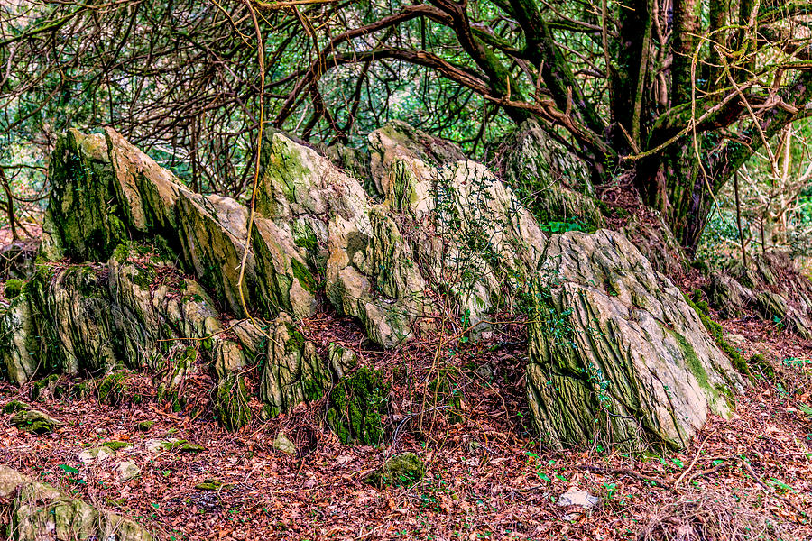 A Rocky Outcrop Photograph by W Chris Fooshee