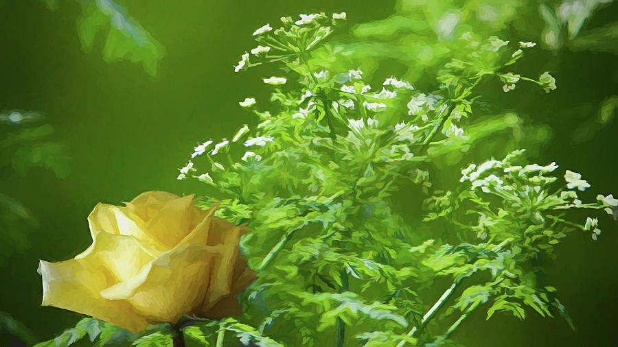 A Rose and A Weed by Renette Coachman A Rose and A Weed by Renette Coachman
