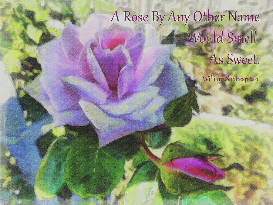 A Rose By Any Other Name Digital Art by Leslie Montgomery