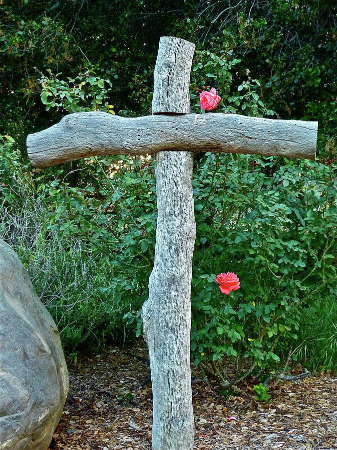 A Rose For Jesus Photograph by Diana Hatcher