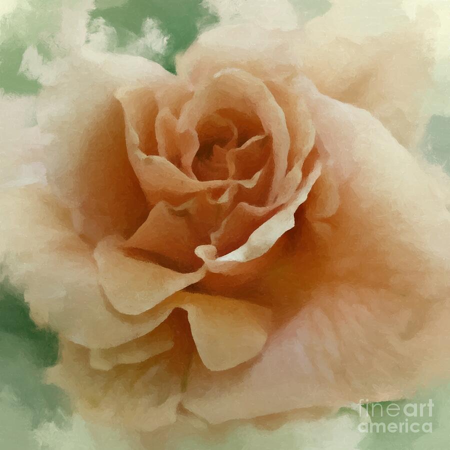 Abstract Photograph - A Rose for Lady Mary by Patricia Strand