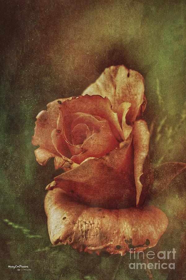 A Rose From Long Ago Mixed Media by MaryLee Parker