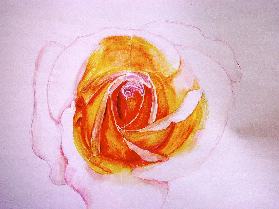 A Rose  Drawing by G Cuffia