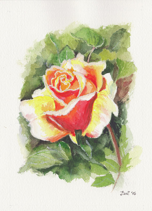 A rose in Benalla Botanic Gardens Painting by Dai Wynn