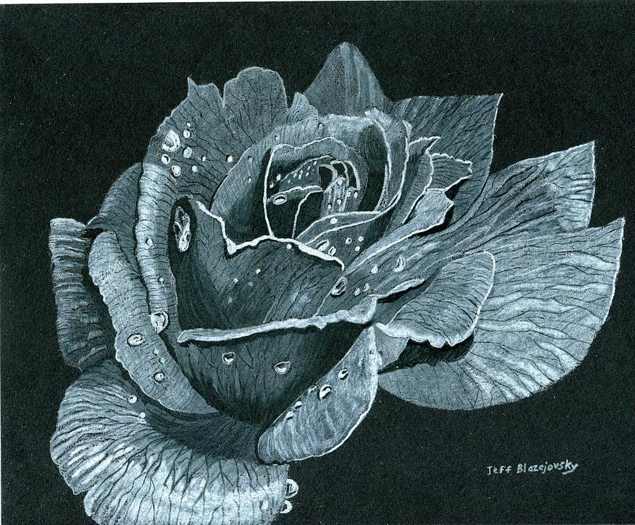 A rose is a rose Drawing by Jeff Blazejovsky