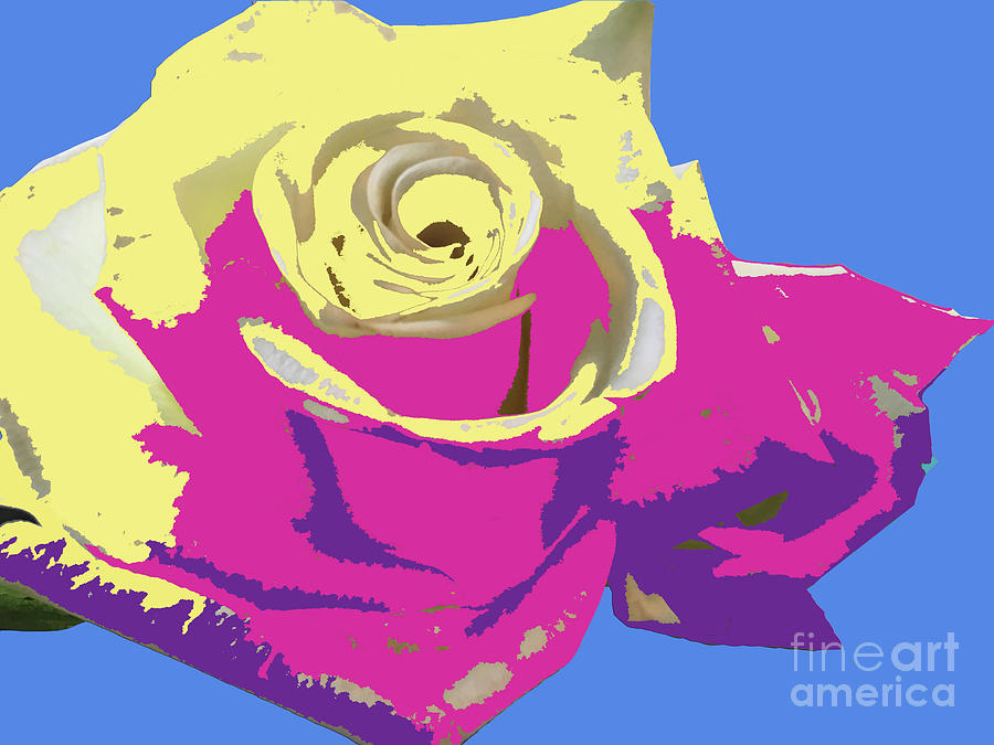 A Rose is a Rose Digital Art by Karen Nicholson
