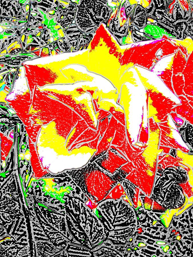 A Rose Is Digital Art by Tim Allen