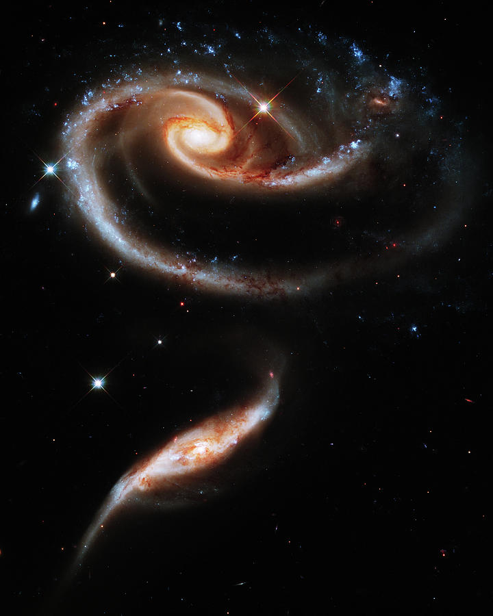 A Rose Made of Galaxies Photograph by Mark Kiver