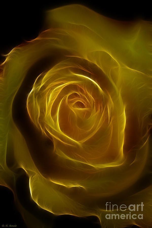 A Rose Of Yellow Photograph by Deborah Benoit