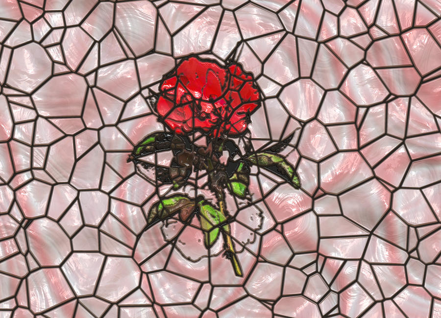 A Rose on Stained Glass Photograph by John M Bailey