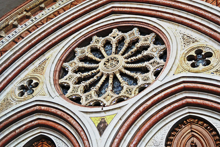 A Rose Window Photograph by Tinto Designs