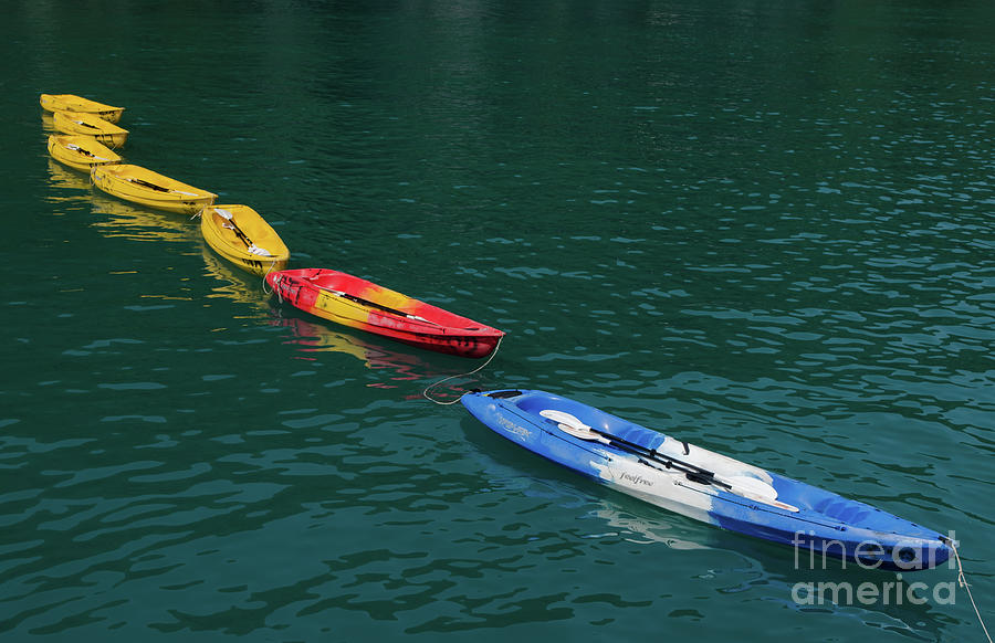 A Row Of Kayaks Photograph by Michelle Meenawong