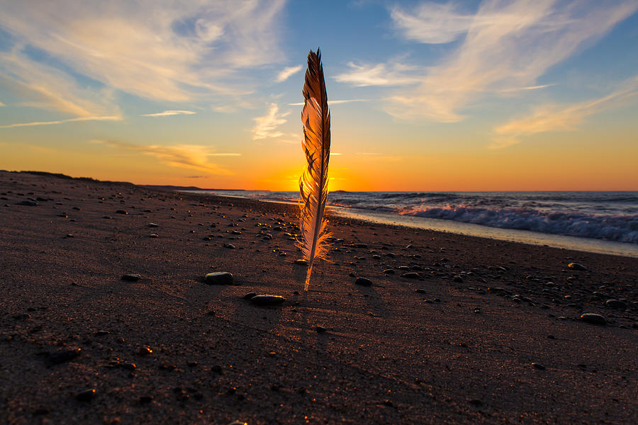 A Ruffled Sundown Photograph by Lee and Michael Beek