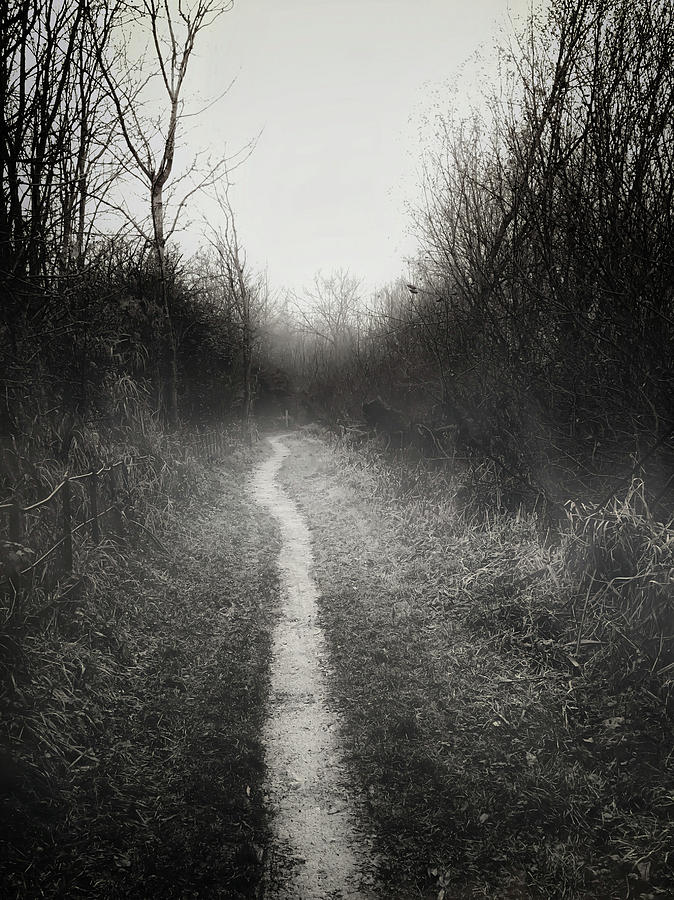 A rural path Photograph by Tom Gowanlock