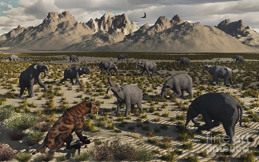 Dinosaur Digital Art - A Sabre-toothed Tiger Stalks A Herd by Mark Stevenson