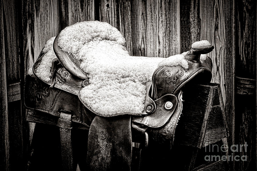 A Saddle in Winter Photograph by Olivier Le Queinec
