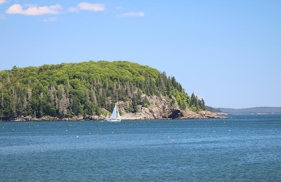 A Sailboat On Frenchman Bay Photograph by Living Color Photography Lorraine Lynch
