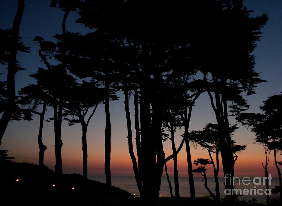 A San Francisco Sunsest Photograph by Jacklyn Duryea Fraizer