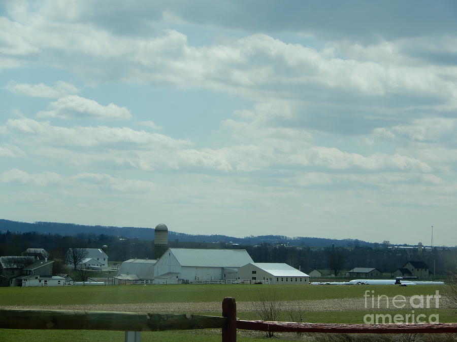 A Scenic Amish View in April Photograph by Christine Clark