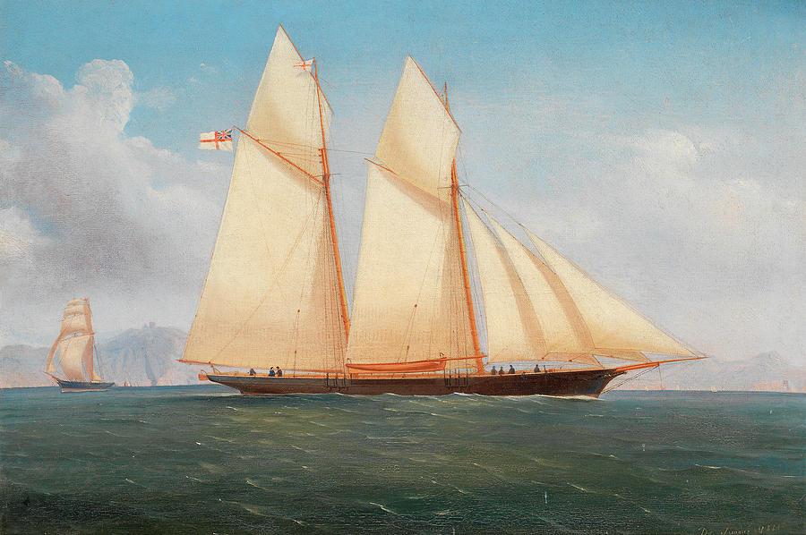 Nature Painting - A Schooner of the Royal Yacht Squadron by Tommaso de Simone