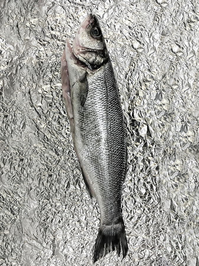 A sea bass Photograph by Tom Gowanlock