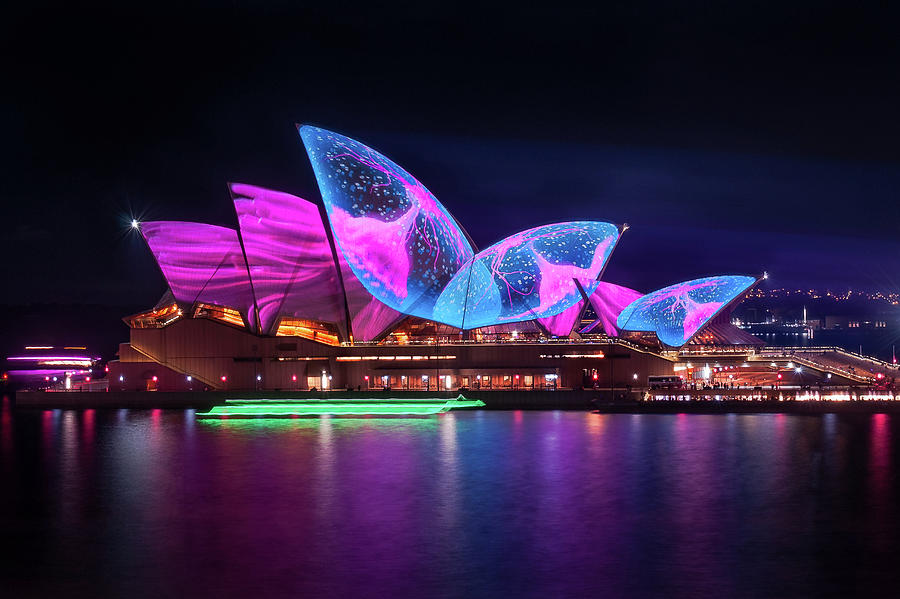 A Sea Creature Finds Home On The Opera Houses Shell Roofs Photograph By 