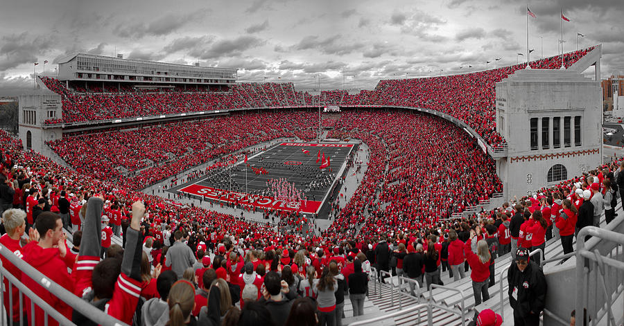 A Sea Of Scarlet Photograph by Ken Krolikowski