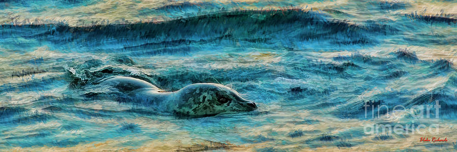 A Sea Otter Swim Photograph by Blake Richards