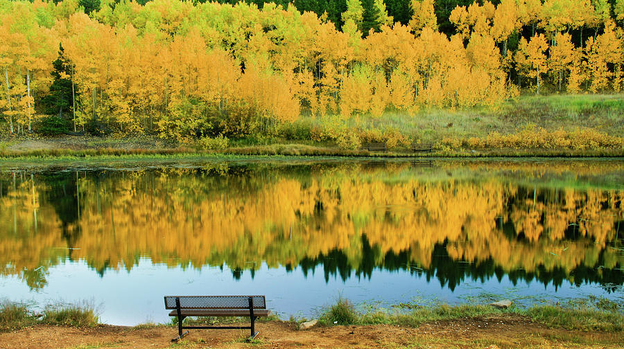 A Seat For Autumn Photograph by John De Bord