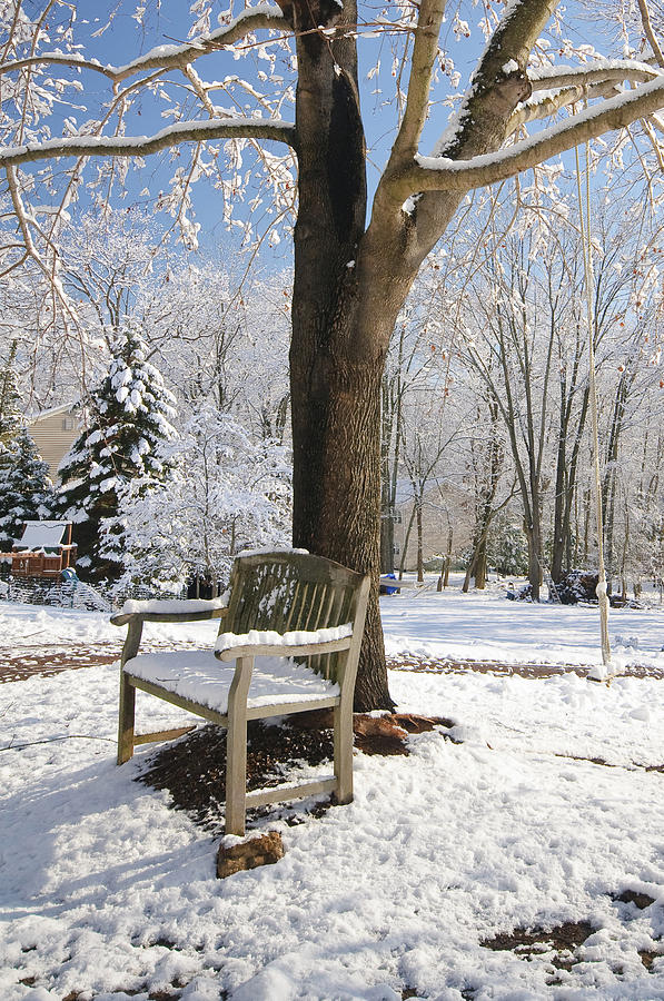 A Seat In The Snow Photograph By Howard Schoenberger - Fine Art America