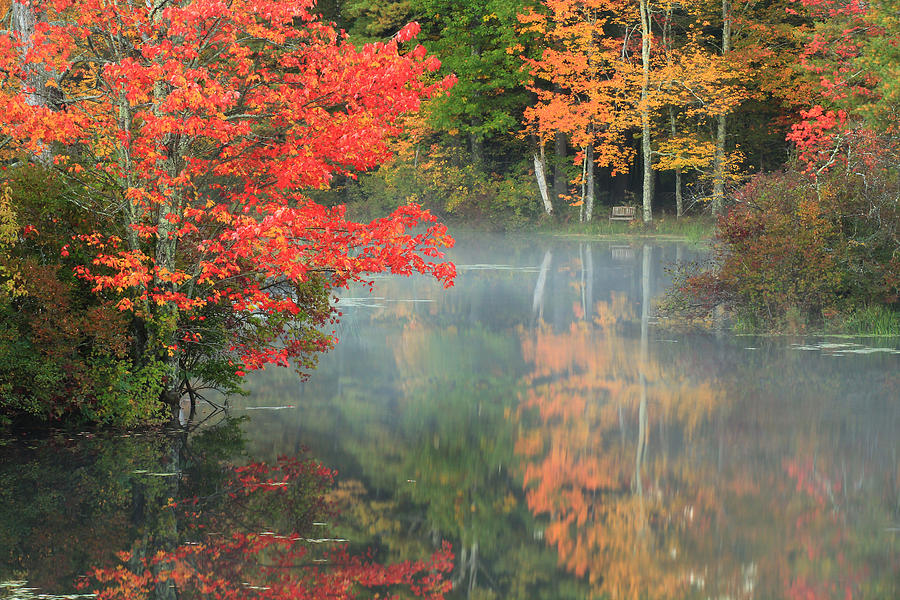 Pond Photograph - A seat to watch Autumn by Brian Pflanz