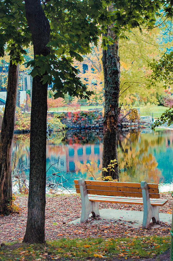 Fall Photograph - A Seat with a View by Tiffany Anthony
