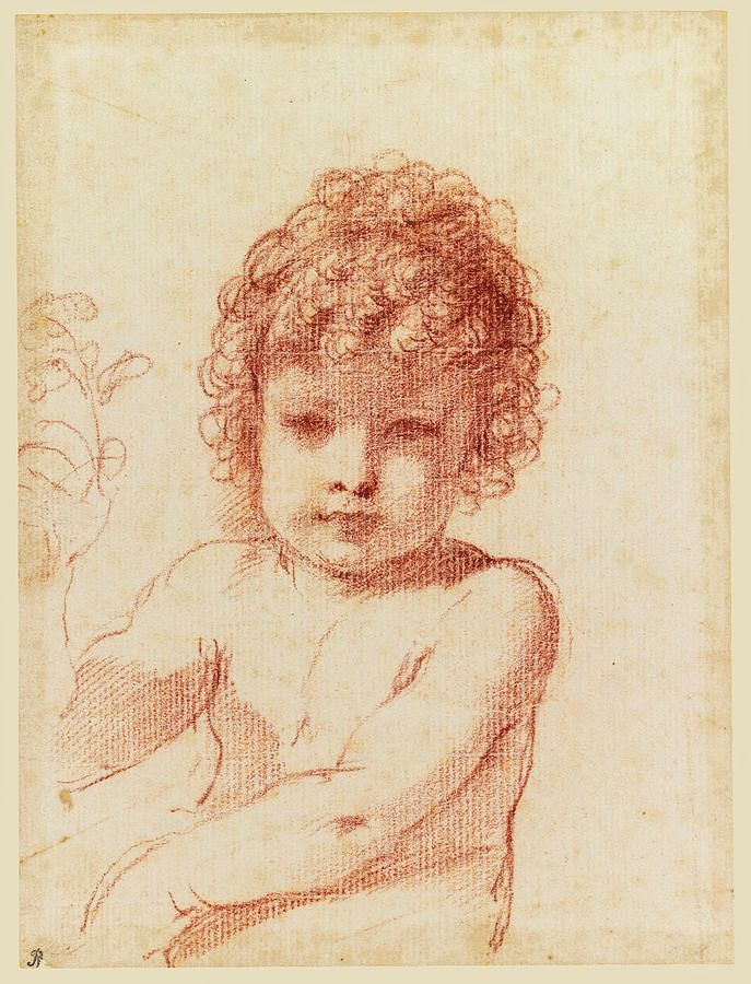 A seated putto holding a flower Drawing by Guercino