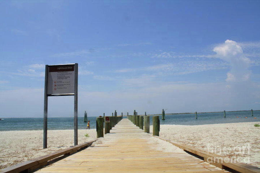 A Secluded Paradise Harkers Island North Carolina Photograph by