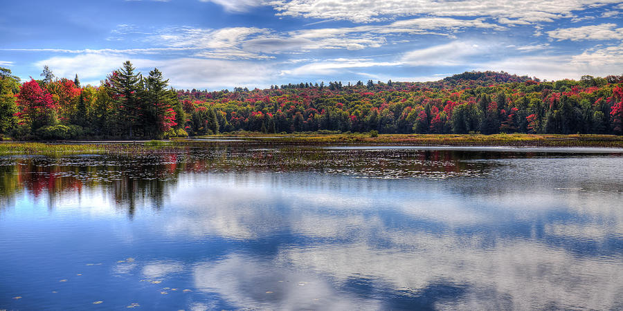A September Autumn View Photograph by David Patterson