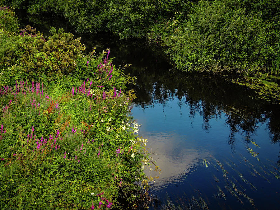 Ireland Photograph - A Serene Scene In The Magical Irish Countryside by James Truett Ireland Photograph - A Serene Scene In The Magical Irish Countryside by James Truett
