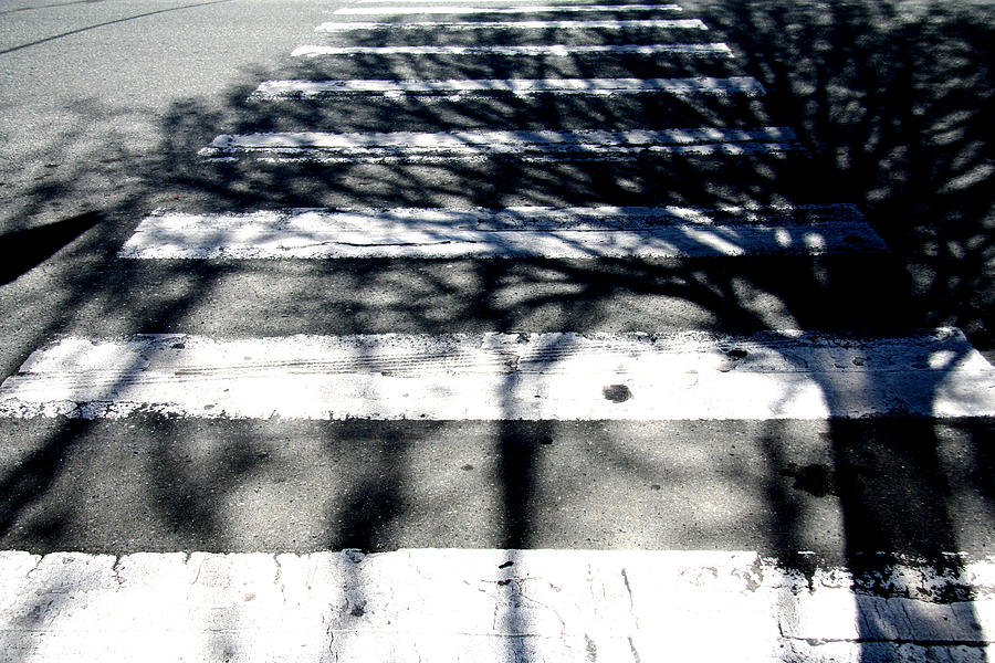 A Shadow Of Its Former Self Photograph by Kreddible Trout