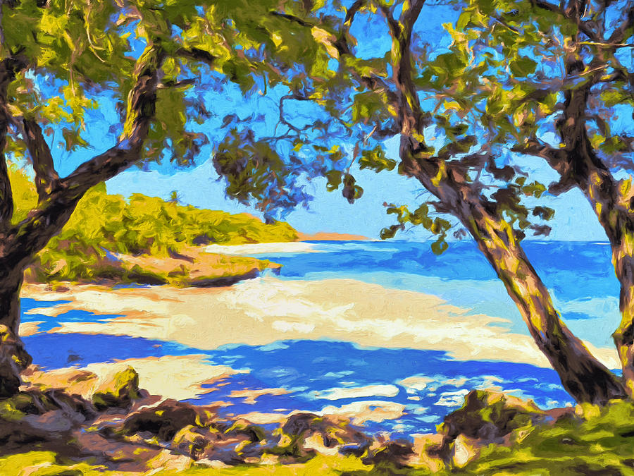 A Shady Kona Cove Painting by Dominic Piperata