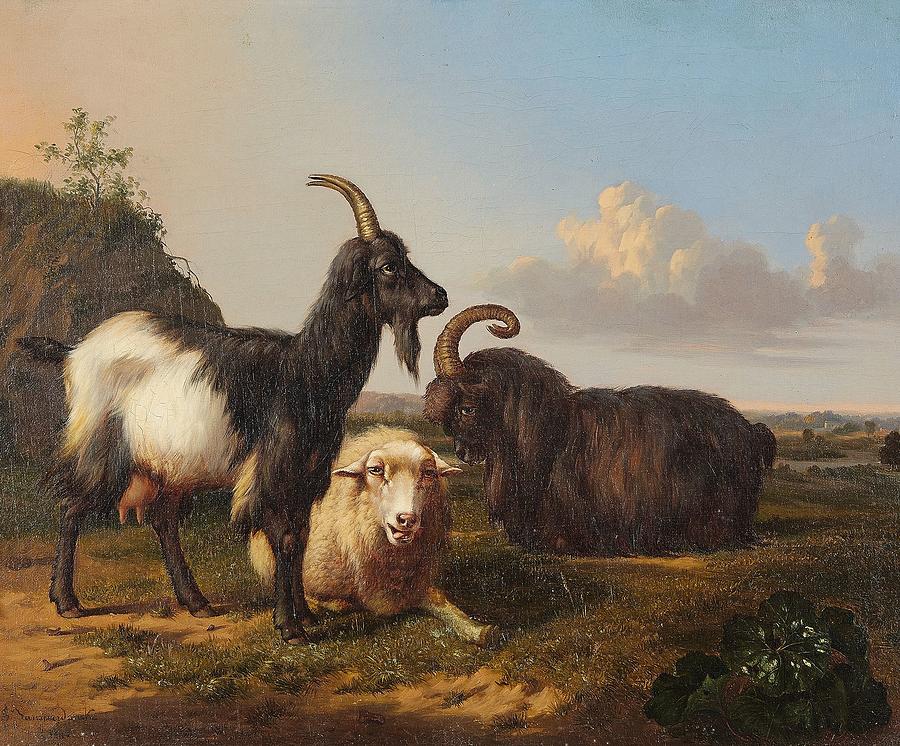 A Sheep and Two Goats in a Meadow Painting by Celestial Images