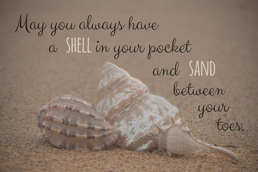 A Shell in Your Pocket Photograph by Teresa Wilson