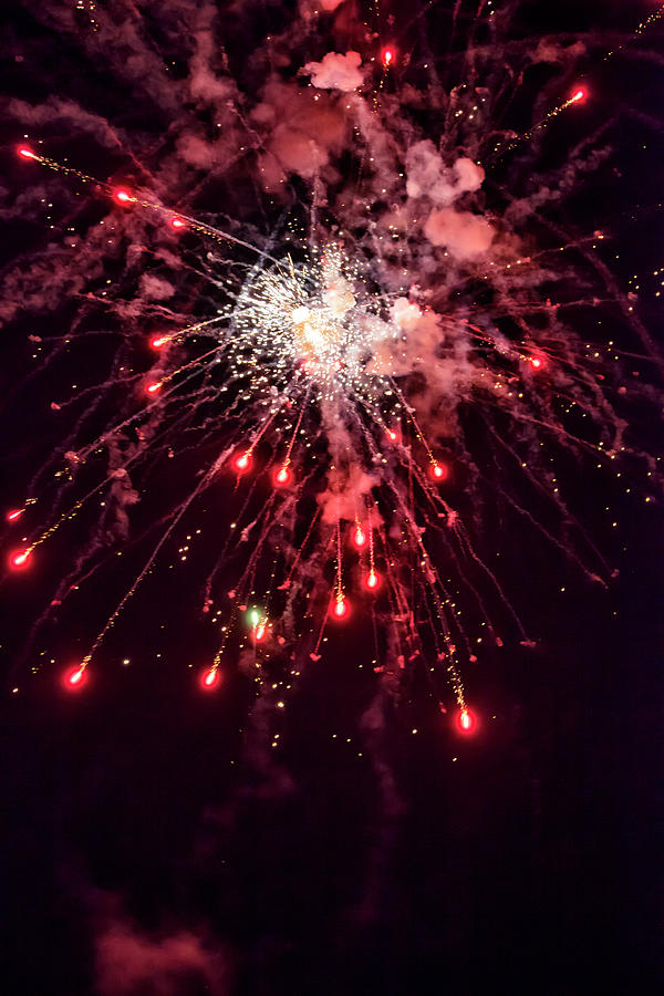A shining colorful firework Photograph by Gina Koch