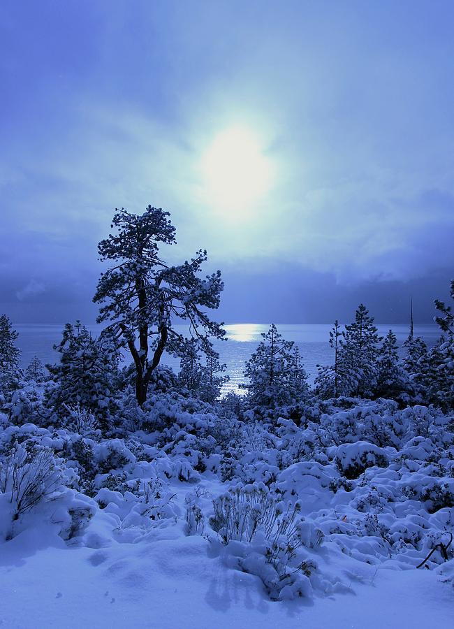  A Shining Light in Winter  Photograph by Sean Sarsfield
