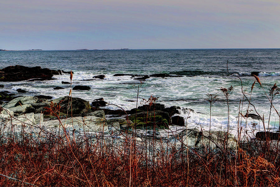 A shoreline in New England Photograph by Tom Prendergast
