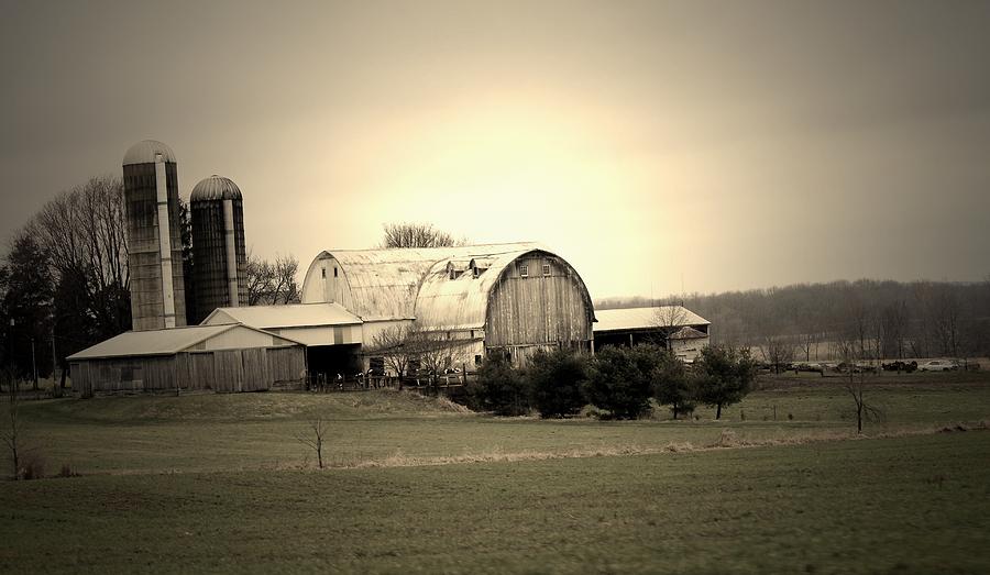 A Shreve Holstein Farm Photograph
