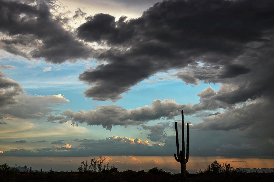 A Silhouette Sunset in the Sonoran  Photograph by Saija Lehtonen