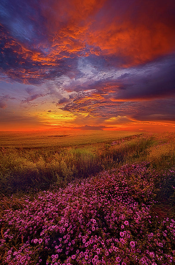 Sunset Photograph - A Simple Purpose by Phil Koch