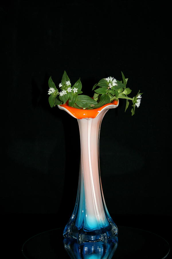 Flower Photograph - A Simple Vase by Cathy Harper