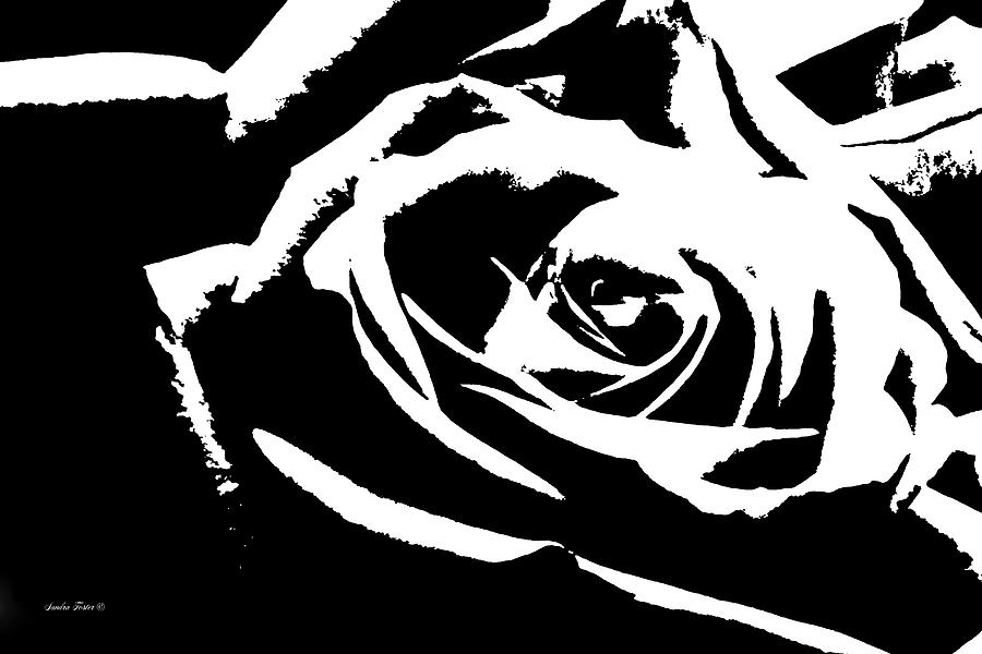 A Simply Black And White Rose  Photograph by Sandra Foster